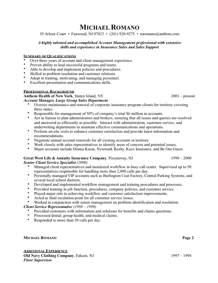 professional resumes templates. professional resume